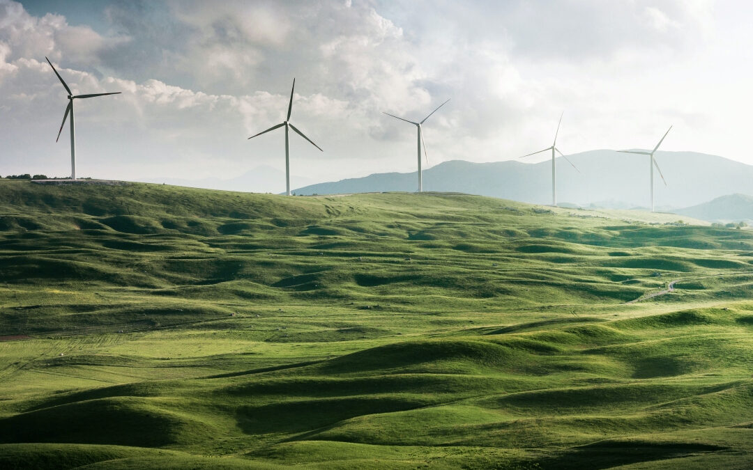 Sustainability Database